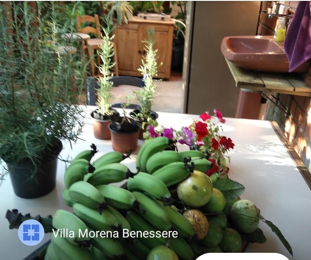 Villa Morena Benessere Florianópolis Buitenkant foto