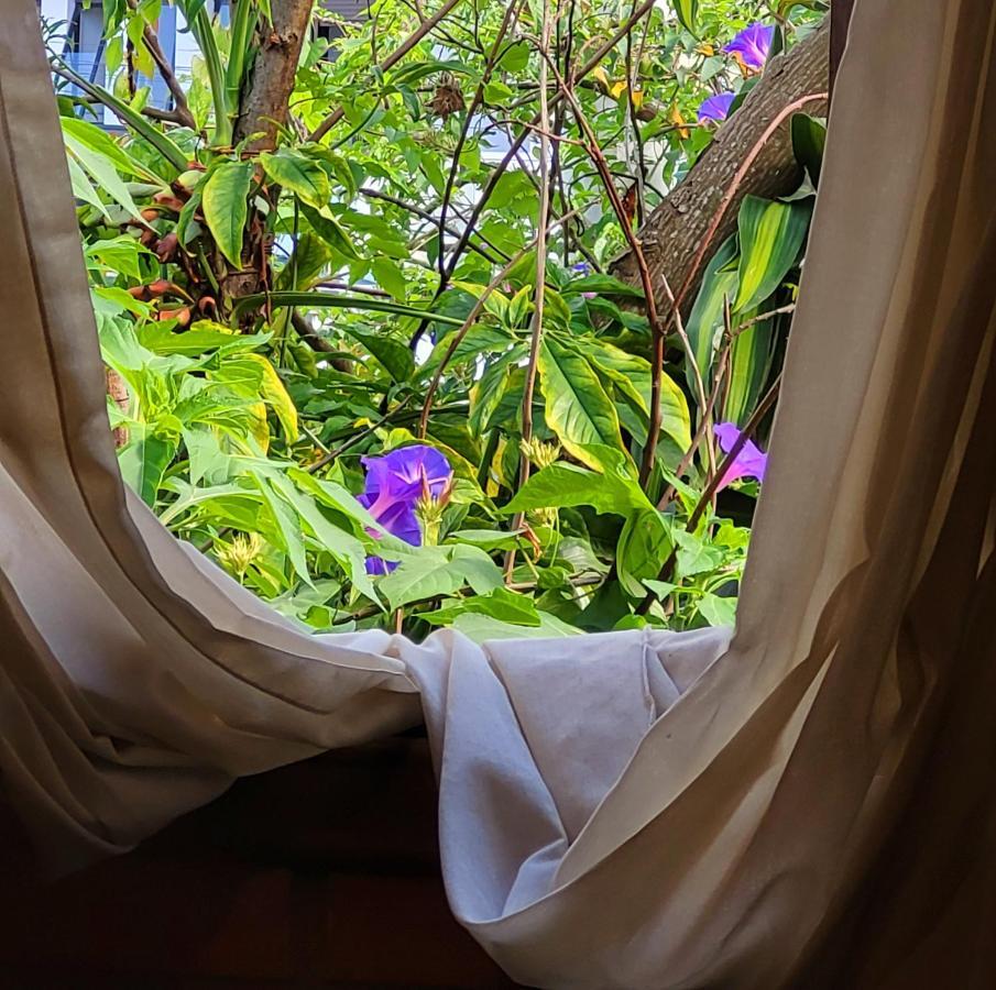 Villa Morena Benessere Florianópolis Buitenkant foto
